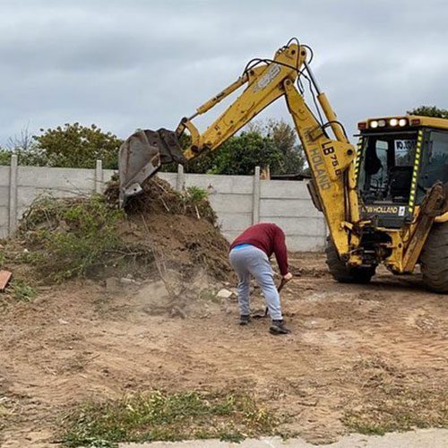 MaquiCorp-Adicionales-Limpieza-Vegetal-pu1k32xvtccve4dlmp2xkqop77m09axw0so98ujjpk